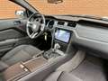Ford Mustang USA 3.7 V6 | Navigatie | Bluetooth | Cruise Contro Blanc - thumbnail 9