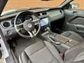 Ford Mustang USA 3.7 V6 | Navigatie | Bluetooth | Cruise Contro Blanc - thumbnail 8