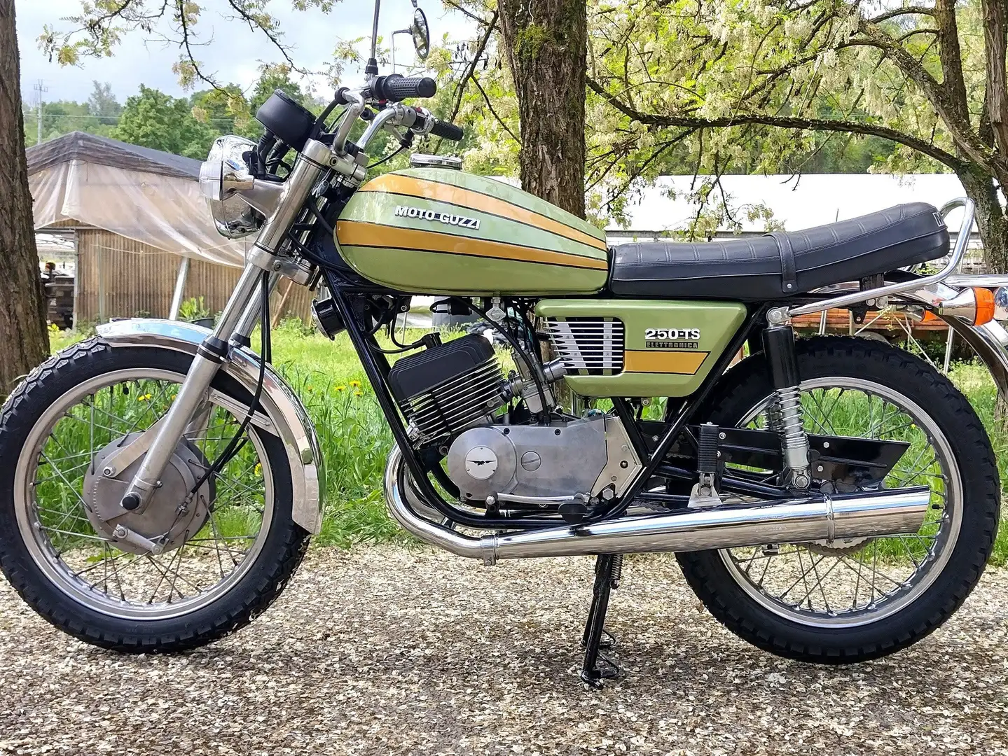 Moto Guzzi 250 TS Elettronica Verde - 2