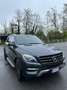 Mercedes-Benz ML 250 bt Premium 4matic auto Niebieski - thumbnail 1