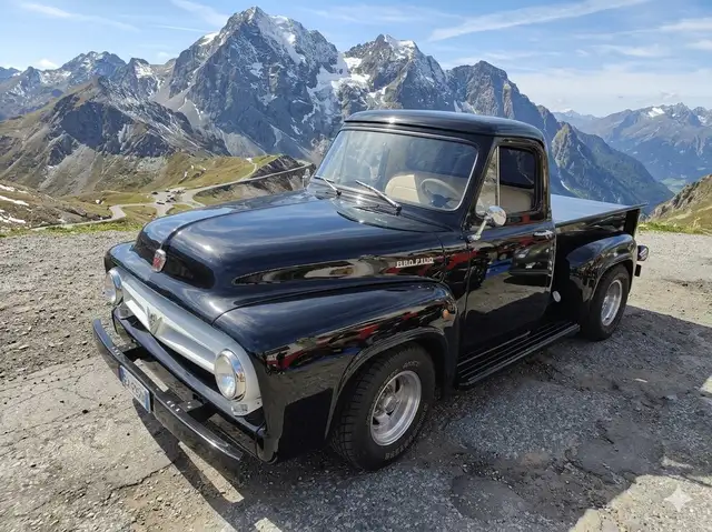 Ford F 100