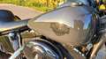 Harley-Davidson Softail Slim GARANTIE–Harley-Davidson Softtail Fat Boy Umbau Grau - thumbnail 8
