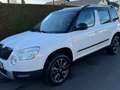 Skoda Yeti Yeti 2.0 TDI 4x4 Adventure Weiß - thumbnail 9