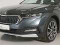 Skoda Octavia Combi 2.0 TDI Scout 4x4 DSG AHK/Matrix Gris - thumbnail 25