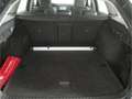Skoda Octavia Combi 2.0 TDI Scout 4x4 DSG AHK/Matrix Grau - thumbnail 10