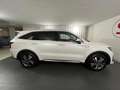 Kia Sorento 1,6 T-GDI PHEV Gold Aut. | Auto Stahl Wien 23 Weiß - thumbnail 8