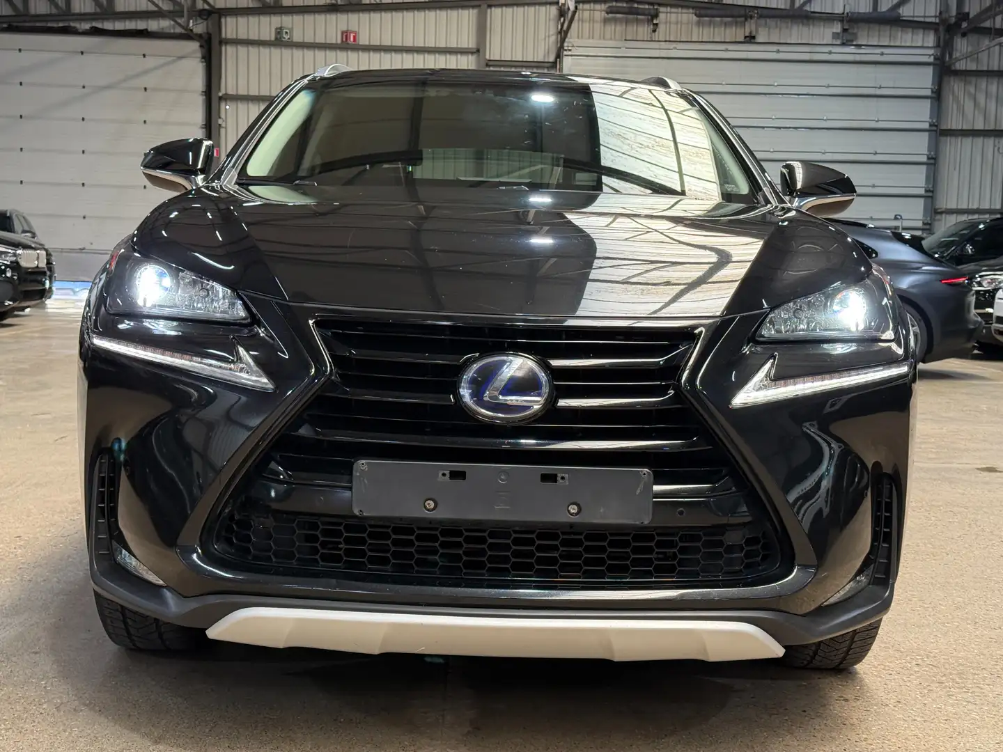 Lexus NX 300h NX 300h 2.5i AWD Dynamic Line E-CVT Schwarz - 2