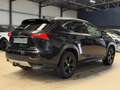 Lexus NX 300h NX 300h 2.5i AWD Dynamic Line E-CVT Schwarz - thumbnail 7