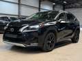 Lexus NX 300h NX 300h 2.5i AWD Dynamic Line E-CVT Schwarz - thumbnail 3
