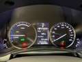 Lexus NX 300h NX 300h 2.5i AWD Dynamic Line E-CVT Schwarz - thumbnail 13