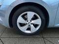 Skoda Superb 2,0 TDI Active Blau - thumbnail 21