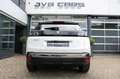Peugeot 3008 1.2 PureTech Allure Pack Blanc - thumbnail 11