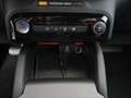 Ford Kuga 2,5 Duratec PHEV ST-Line X Aut. Grau - thumbnail 19