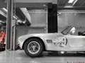 Shelby Sonstige CSX 7000 - 289 FIA - Carte grise française - thumbnail 5