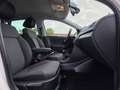 Volkswagen Polo 1.0 BlueMotion Edition Wit - thumbnail 13