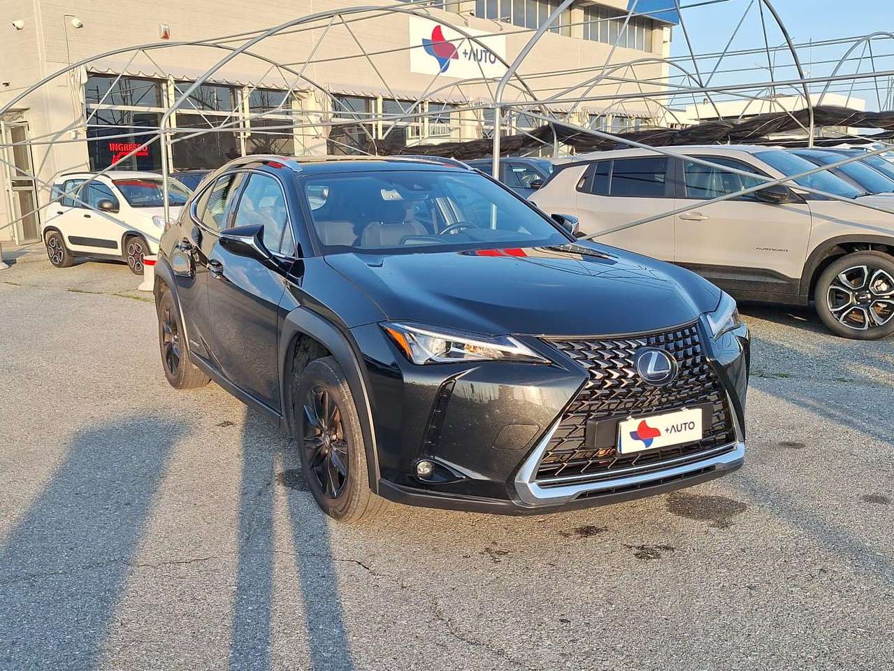 Lexus UX 250h UX 250h 2.0 BUSINESS 2wd cvt soli km 43000!!!!