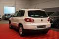 Volkswagen Tiguan Track & Field 4Motion*2Hand*Allrad*AHK* Weiß - thumbnail 14