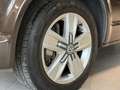 Volkswagen T6 Transporter SHZ*STDHZ*AHK* Braun - thumbnail 13