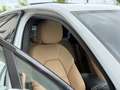 Porsche Cayenne E-HYBRID SPORTDESIGN/360°/PSCB/HEADUP/SOFTCLOSE Blanco - thumbnail 14