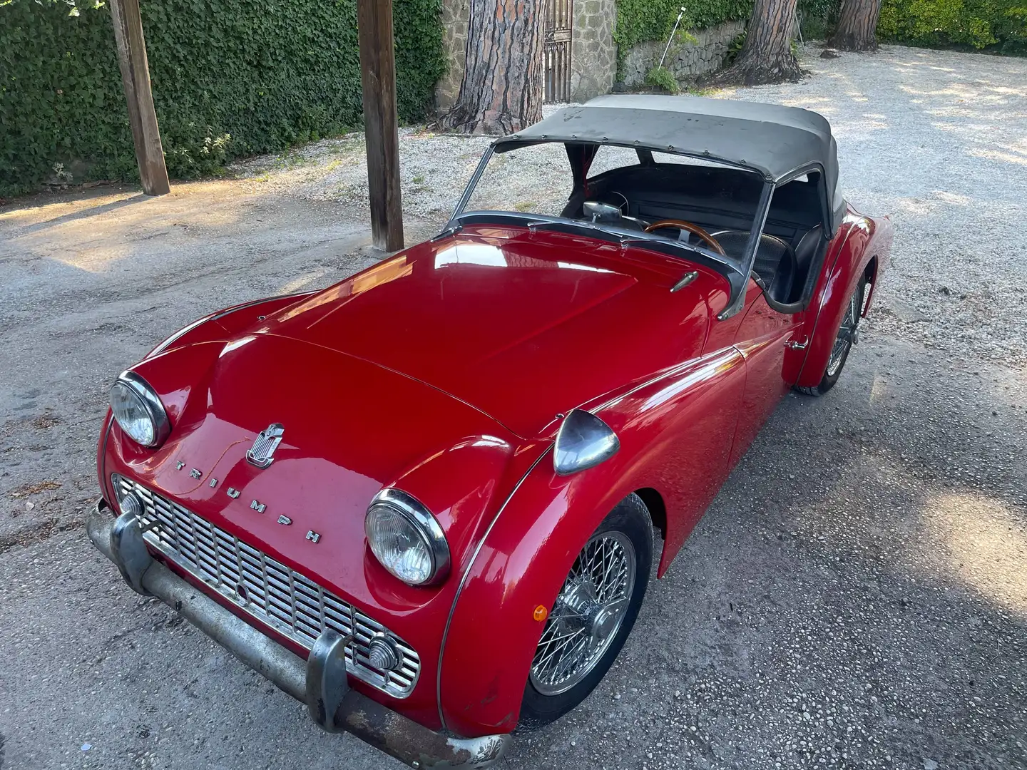 Triumph TR3 TR3A Rot - 1