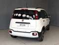 Fiat Panda 1.0 HYBRID 70CV PANDINA CROSS Bianco - thumbnail 12