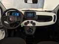 Fiat Panda 1.0 HYBRID 70CV PANDINA CROSS Bianco - thumbnail 7