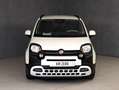 Fiat Panda 1.0 HYBRID 70CV PANDINA CROSS Bianco - thumbnail 3