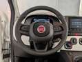 Fiat Panda 1.0 HYBRID 70CV PANDINA CROSS Bianco - thumbnail 8
