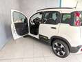 Fiat Panda 1.0 HYBRID 70CV PANDINA CROSS Bianco - thumbnail 5