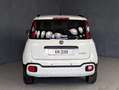 Fiat Panda 1.0 HYBRID 70CV PANDINA CROSS Bianco - thumbnail 13