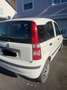 Fiat Panda - thumbnail 2