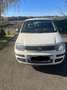 Fiat Panda - thumbnail 1