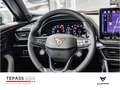 CUPRA Formentor 2.0 TSI VZ Extreme MATRIX PANO NAVI SHZ Gris - thumbnail 9