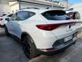 CUPRA Formentor Formentor 2020 1.5 tsi 150cv dsg PROMO FREEDOM Wit - thumbnail 3