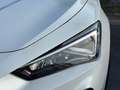 CUPRA Formentor Formentor 2020 1.5 tsi 150cv dsg PROMO FREEDOM Wit - thumbnail 5