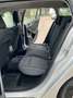 Ford Focus Traveller 1,5 EcoBlue Trend Grau - thumbnail 18