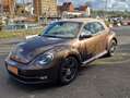 Volkswagen Beetle The Cabriolet 2.0 TDI 70s Brown - thumbnail 5