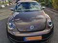 Volkswagen Beetle The Cabriolet 2.0 TDI 70s Brown - thumbnail 3