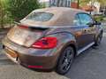 Volkswagen Beetle The Cabriolet 2.0 TDI 70s Brown - thumbnail 4