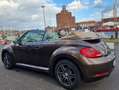 Volkswagen Beetle The Cabriolet 2.0 TDI 70s Brown - thumbnail 8