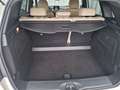 Mercedes-Benz B 200 d 4MATIC Style SpurW Wit - thumbnail 10