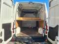 Renault Master 2.3dci 125cv L1H2 NO IVA Bianco - thumbnail 13