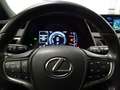 Lexus UX 250h Hybrid Executive Grigio - thumbnail 11