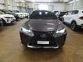 Lexus UX 250h Hybrid Executive Grigio - thumbnail 2