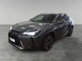 Lexus UX 250h Hybrid Executive Grigio - thumbnail 1