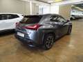 Lexus UX 250h Hybrid Executive Grigio - thumbnail 5