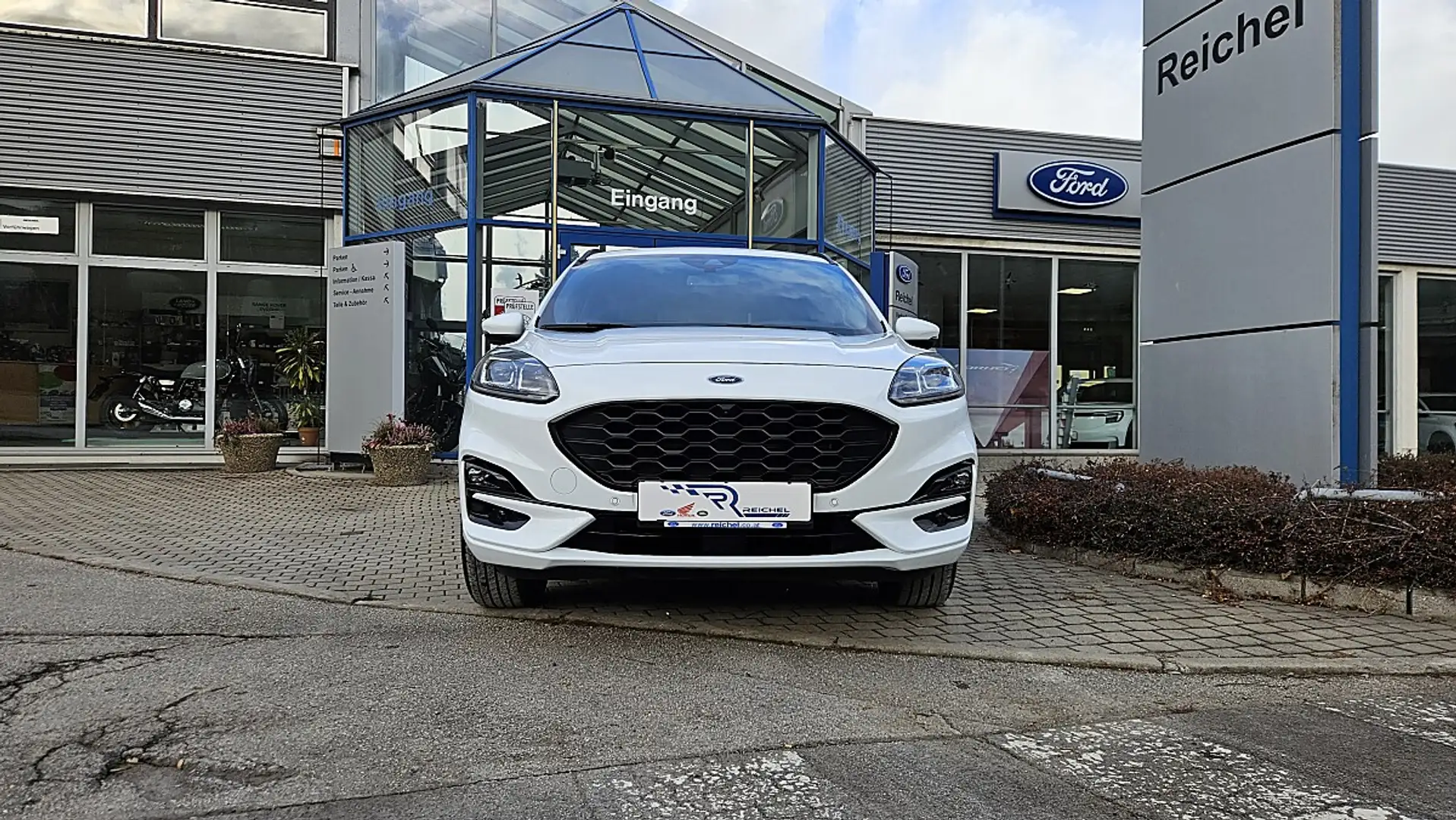 Ford Kuga 2,5 Duratec FHEV AWD ST-Line X Aut. Weiß - 2
