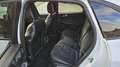 Ford Kuga 2,5 Duratec FHEV AWD ST-Line X Aut. Weiß - thumbnail 12