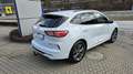 Ford Kuga 2,5 Duratec FHEV AWD ST-Line X Aut. Weiß - thumbnail 9