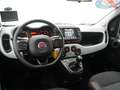 Fiat Panda Cross Garmin KLIMA CARPLAY PORT NAVI Schwarz - thumbnail 5